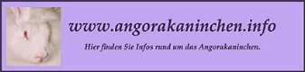 angorakaninchen.info
