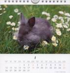 Heye Kalender - Süße Kaninchen 2004 - Januar 2004