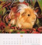 Heye Kalender - Kuschelige Meerschweinchen 2005 - Oktober 2005