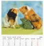 teNeues Kalender - Streichelzoo 2005 - Januar 2005